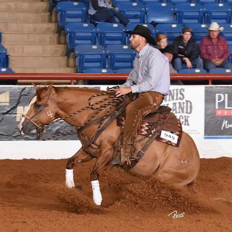 Reining Fundamentals Reining Horse Training Videos