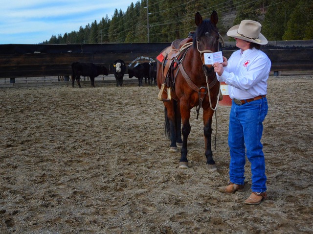 Pacific Northwest horse trainer Gerry Cox shares his simple recipe for setting each and every ride up for success. Learn to develop your own 